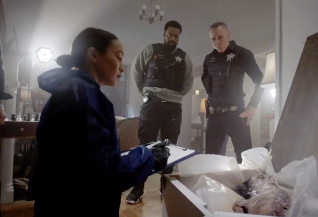 изображение из сериала Полиция Чикаго